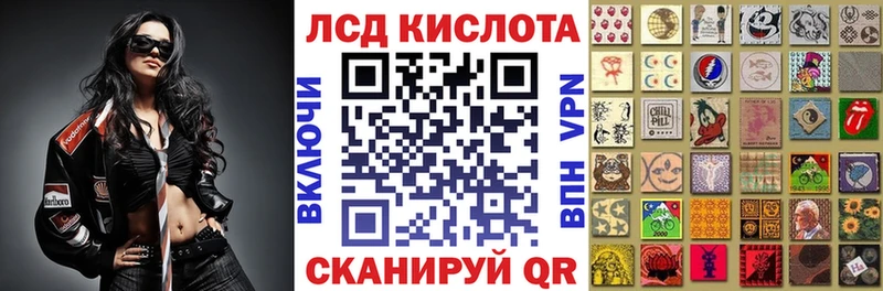 дарнет шоп  Гаджиево  Марки NBOMe 1,8мг 