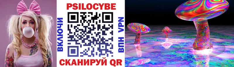 Псилоцибиновые грибы GOLDEN TEACHER  Гаджиево 