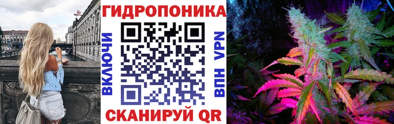 kraken как зайти  Гаджиево  Бошки марихуана White Widow 